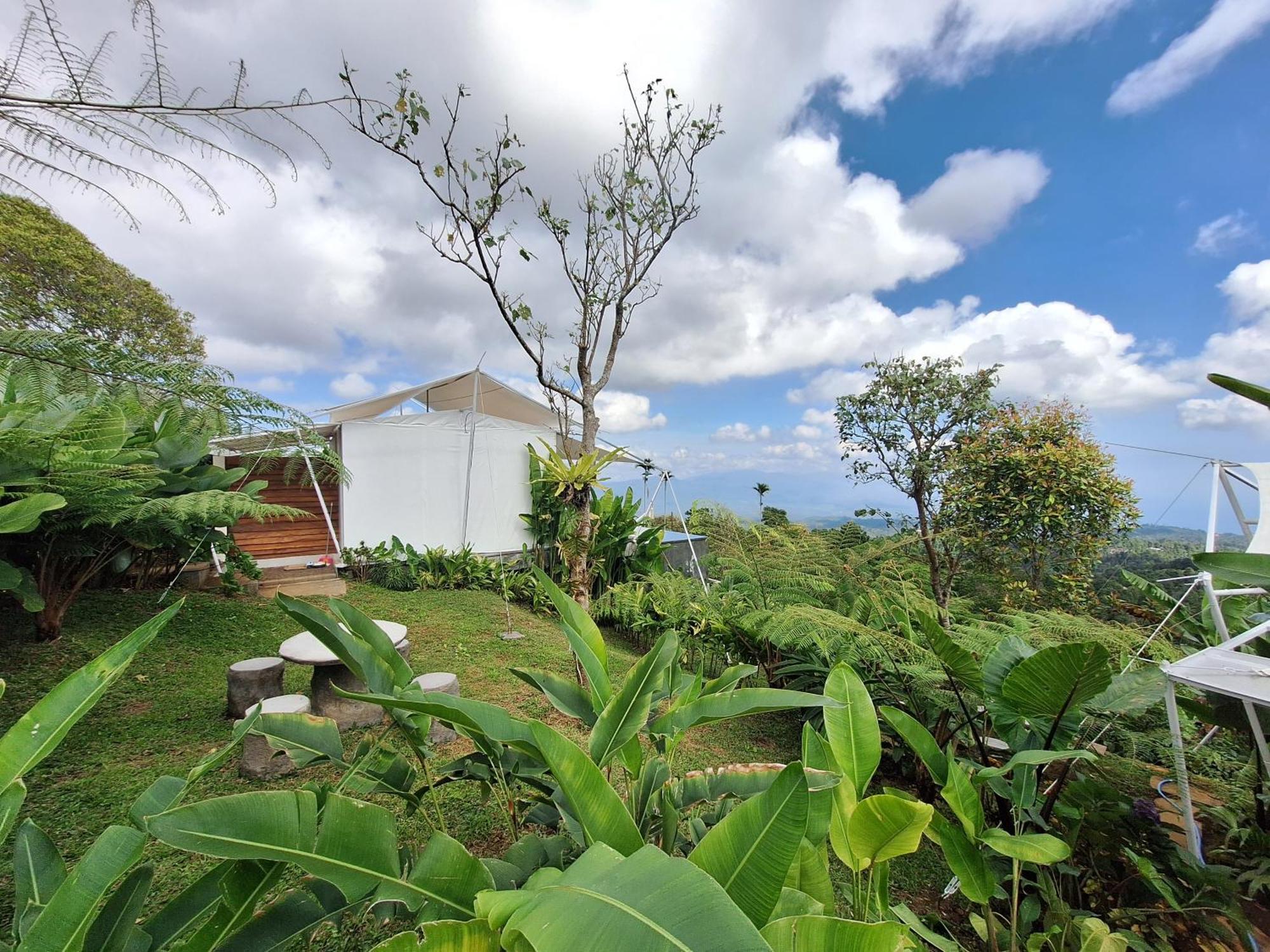 Harsa Eco Luxury Camp Gobleg (Bali) Exterior foto